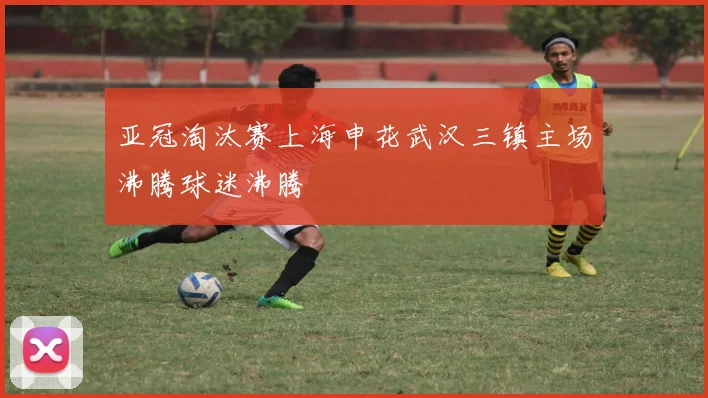 亚冠淘汰赛上海申花武汉三镇主场沸腾球迷沸腾
