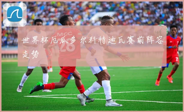 世界杯厄瓜多尔科特迪瓦赛前阵容走势
