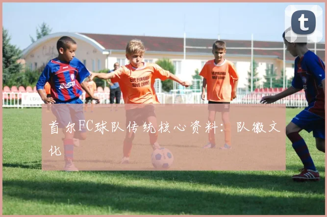 首尔FC球队传统核心资料：队徽文化