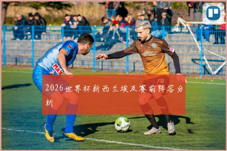 2026世界杯新西兰埃及赛前阵容分析