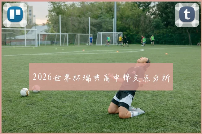 2026世界杯瑞典高中锋支点分析